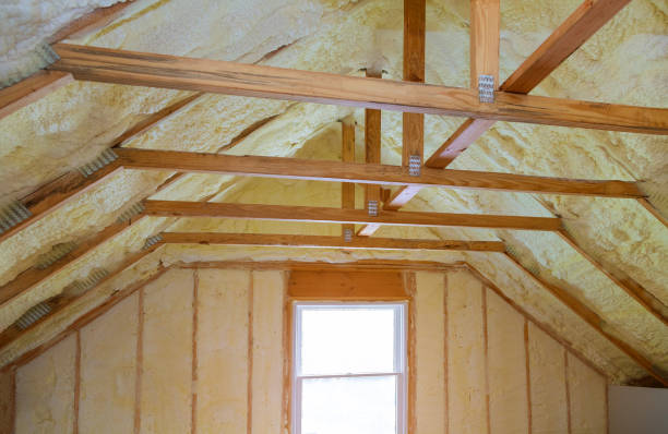Best Eco-Friendly Insulation in Tainter Lake, WI